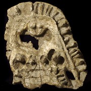 Найден древний лягушкодил с зубами в необычных местах
