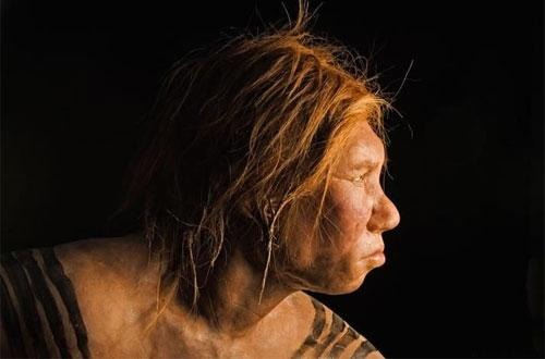 Воссоздано лицо неандертальской женщины, которая жила 43 тысячи лет назад